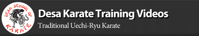Desa Karate Videos